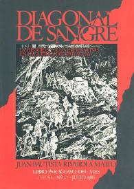 Diagonal de sangre : la historia y sus alternativas en la Guerra del Paraguay / Juan Bautista Rivarola Matto | Biblioteca Virtual Miguel de Cervantes