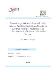 Disección genética del desarrollo de la hoja en Arabidopsis thaliana : estudio de ecotipos y estirpes mutantes de la colección del Arabidopsis Information Service / José Serrano Cartagena | Biblioteca Virtual Miguel de Cervantes