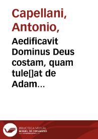 Aedificavit Dominus Deus costam, quam tule[]at de Adam in mulierem : Gen. C. II. V. 22,  Romae in Aedibus Vaticanis Nella Capella Sistina / Michelang. Buonarota P.; Ant. Capellan sc. 1772. | Biblioteca Virtual Miguel de Cervantes