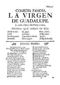 La Virgen de Guadalupe / Su Author el Doctor Don Phelipe Godinez | Biblioteca Virtual Miguel de Cervantes