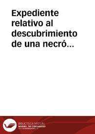 Expediente relativo al descubrimiento de una necróplis romana en la Dehesa de Ahín, a seis kilómetros de Toledo, junto al río Tajo. | Biblioteca Virtual Miguel de Cervantes