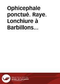 Ophicephale ponctué. Raye. Lonchiure à Barbillons (Peces) | Biblioteca Virtual Miguel de Cervantes