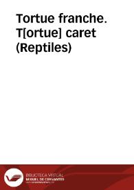 Tortue franche. T[ortue] caret (Reptiles) | Biblioteca Virtual Miguel de Cervantes