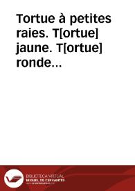 Tortue à petites raies. T[ortue] jaune. T[ortue] ronde (Reptiles) | Biblioteca Virtual Miguel de Cervantes