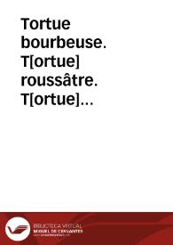 Tortue bourbeuse. T[ortue] roussâtre. T[ortue] odorante (Reptiles) | Biblioteca Virtual Miguel de Cervantes