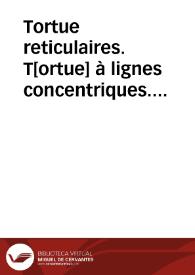 Tortue reticulaires. T[ortue] à lignes concentriques. T[ortue] raboteuse (Reptiles) | Biblioteca Virtual Miguel de Cervantes