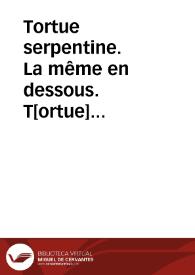 Tortue serpentine. La même en dessous. T[ortue] chagrinée (Reptiles) | Biblioteca Virtual Miguel de Cervantes