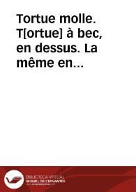 Tortue molle. T[ortue] à bec, en dessus. La même en dessous (Reptiles) | Biblioteca Virtual Miguel de Cervantes