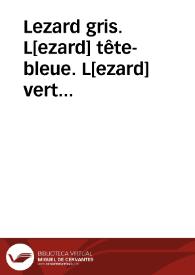 Lezard gris. L[ezard] tête-bleue. L[ezard] vert (Reptiles) | Biblioteca Virtual Miguel de Cervantes