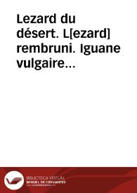 Lezard du désert. L[ezard] rembruni. Iguane vulgaire (Reptiles) | Biblioteca Virtual Miguel de Cervantes