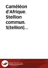 Caméléon d'Afrique. Stellion commun. S[tellion] orbiculaire (Reptiles) | Biblioteca Virtual Miguel de Cervantes