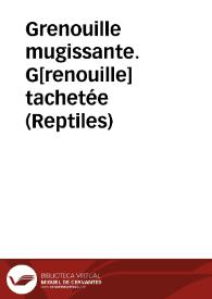 Grenouille mugissante. G[renouille] tachetée (Reptiles) | Biblioteca Virtual Miguel de Cervantes