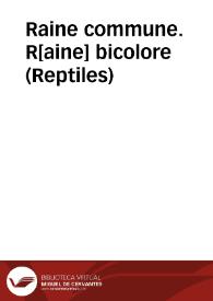 Raine commune. R[aine] bicolore (Reptiles) | Biblioteca Virtual Miguel de Cervantes