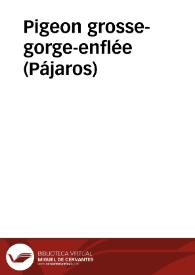 Pigeon grosse-gorge-enflée (Pájaros) | Biblioteca Virtual Miguel de Cervantes