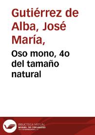 Oso mono, 4o del tamaño natural | Biblioteca Virtual Miguel de Cervantes