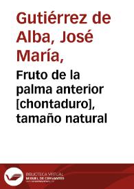 Fruto de la palma anterior [chontaduro], tamaño natural | Biblioteca Virtual Miguel de Cervantes