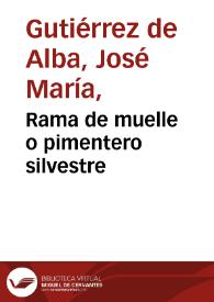 Rama de muelle o pimentero silvestre | Biblioteca Virtual Miguel de Cervantes