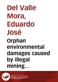 Orphan environmental damages caused by illegal mining activities in Colombia: Should landowners be liable? | Biblioteca Virtual Miguel de Cervantes