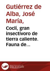 Coclí, gran insectívoro de tierra caliente. Fauna de Colombia | Biblioteca Virtual Miguel de Cervantes