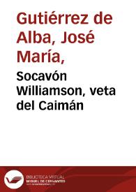 Socavón Williamson, veta del Caimán | Biblioteca Virtual Miguel de Cervantes