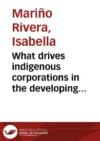 What drives indigenous corporations in the developing world to engage in CSR as a management strategy? Case study of the sugarcane and ethanol industry in the Cauca Valley, Colombia | Biblioteca Virtual Miguel de Cervantes