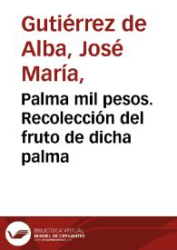 Palma mil pesos. Recolección del fruto de dicha palma | Biblioteca Virtual Miguel de Cervantes