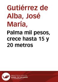 Palma mil pesos, crece hasta 15 y 20 metros | Biblioteca Virtual Miguel de Cervantes