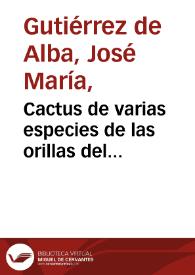 Cactus de varias especies de las orillas del Chicamocha, Santander. Excursiones varias N° 6, 2o | Biblioteca Virtual Miguel de Cervantes