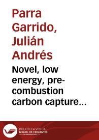 Novel, low energy, pre-combustion carbon capture feasibility study = Estudio de factibilidad de novedoso proceso de captura de carbono pre-combustion | Biblioteca Virtual Miguel de Cervantes