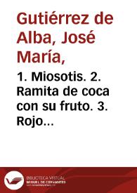 1. Miosotis. 2. Ramita de coca con su fruto. 3. Rojo de cayena. Flora de las tierras calientes | Biblioteca Virtual Miguel de Cervantes