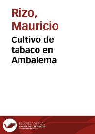 Cultivo de tabaco en Ambalema | Biblioteca Virtual Miguel de Cervantes