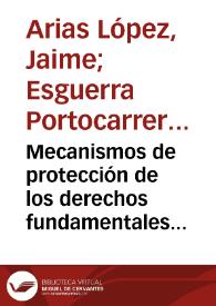 Mecanismos de protección de los derechos fundamentales y del orden jurídico | Biblioteca Virtual Miguel de Cervantes