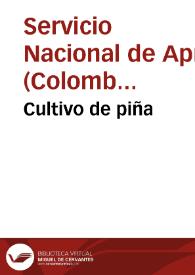 Cultivo de piña | Biblioteca Virtual Miguel de Cervantes