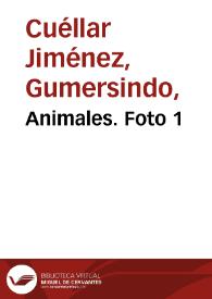 Animales. Foto 1 | Biblioteca Virtual Miguel de Cervantes