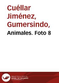 Animales. Foto 8 | Biblioteca Virtual Miguel de Cervantes