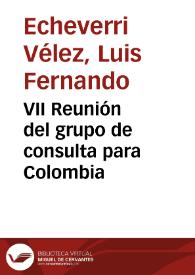 VII Reunión del grupo de consulta para Colombia | Biblioteca Virtual Miguel de Cervantes