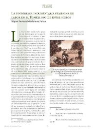 La pintoresca indumentaria femenina de labor en el Tomelloso de entre siglos / Miguel Antonio Maldonado Felipe | Biblioteca Virtual Miguel de Cervantes